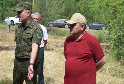 Лесничие Закамской зоны Татарстана искали в Нурлате способы борьбы с очагами непарного шелкопряда