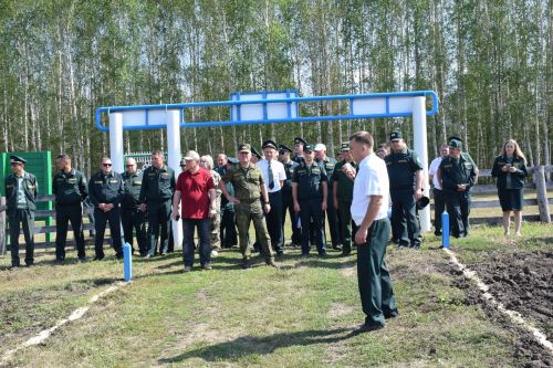 Лесничие Закамской зоны Татарстана искали в Нурлате способы борьбы с очагами непарного шелкопряда