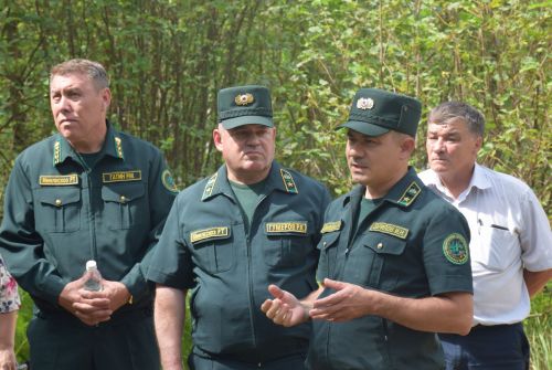 Лесничие Закамской зоны Татарстана искали в Нурлате способы борьбы с очагами непарного шелкопряда