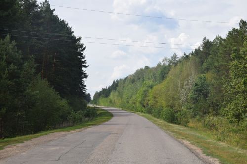 Лесничие Закамской зоны Татарстана искали в Нурлате способы борьбы с очагами непарного шелкопряда