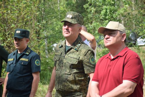 Лесничие Закамской зоны Татарстана искали в Нурлате способы борьбы с очагами непарного шелкопряда
