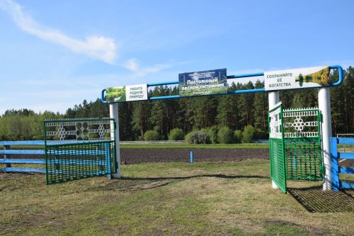 Лесничие Закамской зоны Татарстана искали в Нурлате способы борьбы с очагами непарного шелкопряда