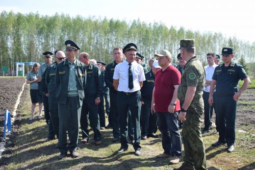 Лесничие Закамской зоны Татарстана искали в Нурлате способы борьбы с очагами непарного шелкопряда