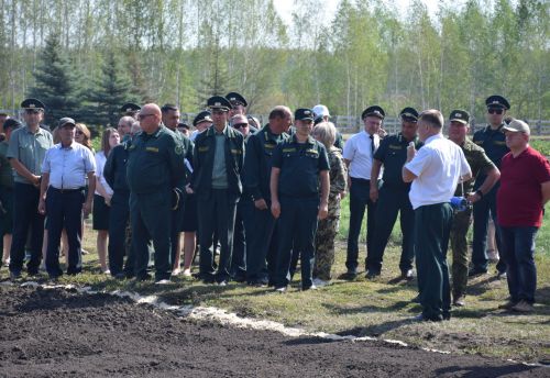 Лесничие Закамской зоны Татарстана искали в Нурлате способы борьбы с очагами непарного шелкопряда