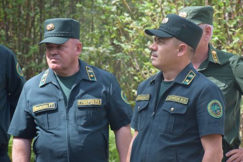 Лесничие Закамской зоны Татарстана искали в Нурлате способы борьбы с очагами непарного шелкопряда