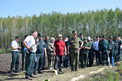 Лесничие Закамской зоны Татарстана искали в Нурлате способы борьбы с очагами непарного шелкопряда