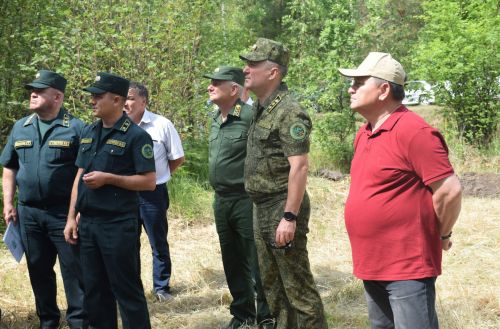 Лесничие Закамской зоны Татарстана искали в Нурлате способы борьбы с очагами непарного шелкопряда