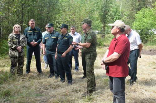 Лесничие Закамской зоны Татарстана искали в Нурлате способы борьбы с очагами непарного шелкопряда