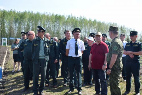 Лесничие Закамской зоны Татарстана искали в Нурлате способы борьбы с очагами непарного шелкопряда