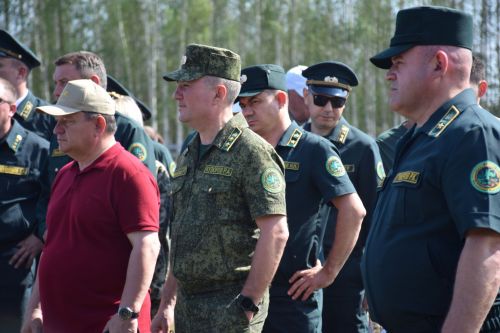 Лесничие Закамской зоны Татарстана искали в Нурлате способы борьбы с очагами непарного шелкопряда
