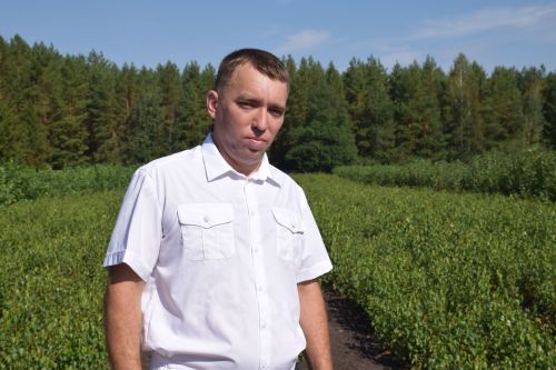 Лесничие Закамской зоны Татарстана искали в Нурлате способы борьбы с очагами непарного шелкопряда