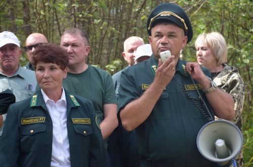 Лесничие Закамской зоны Татарстана искали в Нурлате способы борьбы с очагами непарного шелкопряда