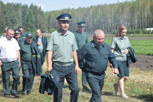 Лесничие Закамской зоны Татарстана искали в Нурлате способы борьбы с очагами непарного шелкопряда