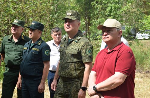 Лесничие Закамской зоны Татарстана искали в Нурлате способы борьбы с очагами непарного шелкопряда