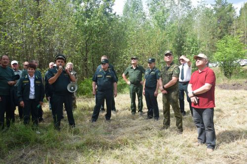 Лесничие Закамской зоны Татарстана искали в Нурлате способы борьбы с очагами непарного шелкопряда