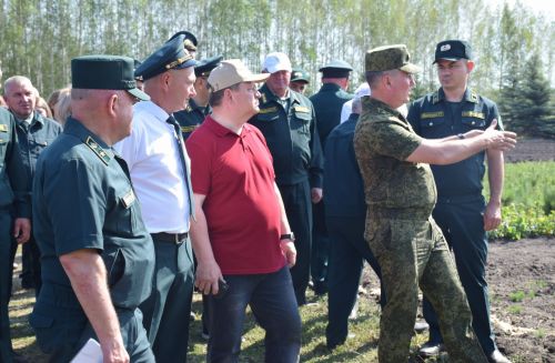 Лесничие Закамской зоны Татарстана искали в Нурлате способы борьбы с очагами непарного шелкопряда