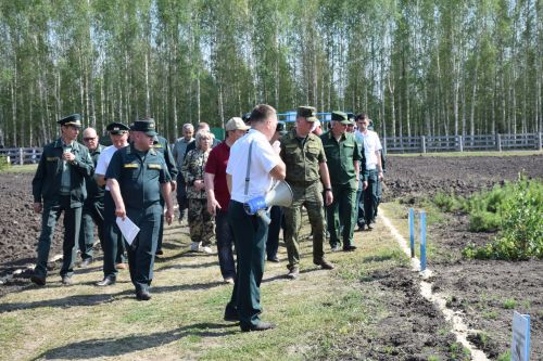 Лесничие Закамской зоны Татарстана искали в Нурлате способы борьбы с очагами непарного шелкопряда