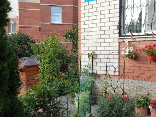 Учитель-пенсионер из Нурлата превратила обычный двор в сказочный