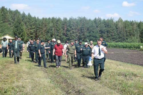 Лесничие Закамской зоны Татарстана искали в Нурлате способы борьбы с очагами непарного шелкопряда