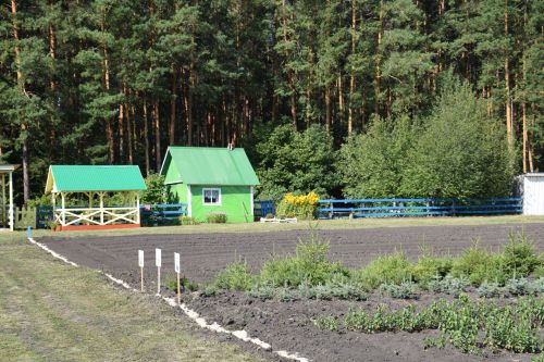 Лесничие Закамской зоны Татарстана искали в Нурлате способы борьбы с очагами непарного шелкопряда