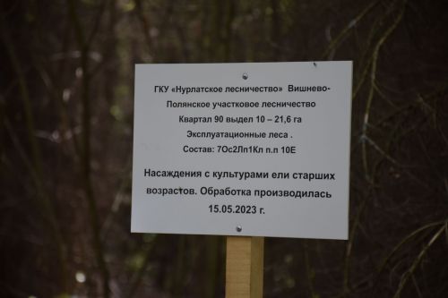 Лесничие Закамской зоны Татарстана искали в Нурлате способы борьбы с очагами непарного шелкопряда