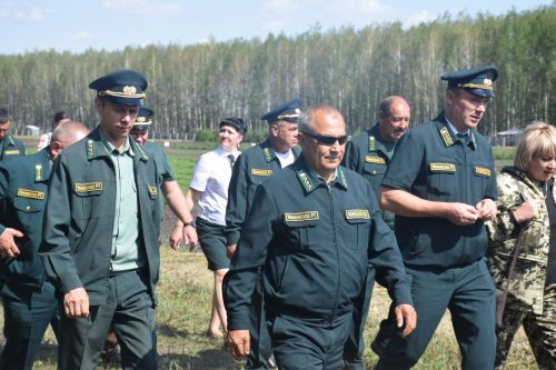 Лесничие Закамской зоны Татарстана искали в Нурлате способы борьбы с очагами непарного шелкопряда