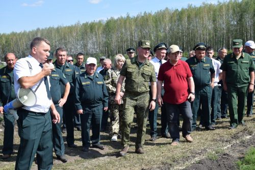 Лесничие Закамской зоны Татарстана искали в Нурлате способы борьбы с очагами непарного шелкопряда