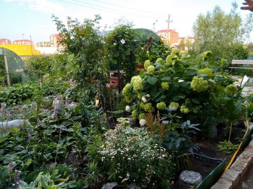 Учитель-пенсионер из Нурлата превратила обычный двор в сказочный