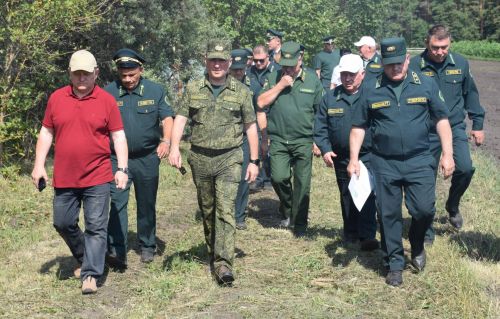 Лесничие Закамской зоны Татарстана искали в Нурлате способы борьбы с очагами непарного шелкопряда