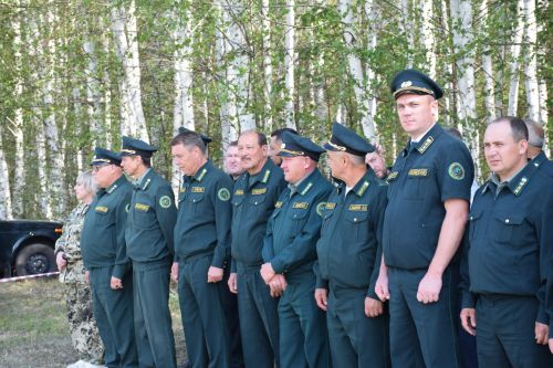 Лесничие Закамской зоны Татарстана искали в Нурлате способы борьбы с очагами непарного шелкопряда