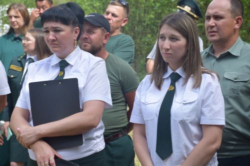 Лесничие Закамской зоны Татарстана искали в Нурлате способы борьбы с очагами непарного шелкопряда