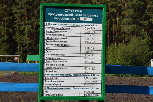 Лесничие Закамской зоны Татарстана искали в Нурлате способы борьбы с очагами непарного шелкопряда