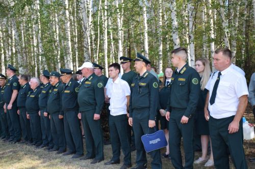 Лесничие Закамской зоны Татарстана искали в Нурлате способы борьбы с очагами непарного шелкопряда