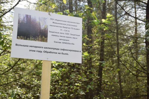 Лесничие Закамской зоны Татарстана искали в Нурлате способы борьбы с очагами непарного шелкопряда