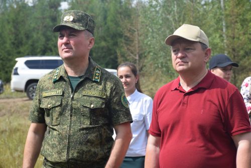 Лесничие Закамской зоны Татарстана искали в Нурлате способы борьбы с очагами непарного шелкопряда
