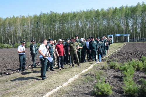 Лесничие Закамской зоны Татарстана искали в Нурлате способы борьбы с очагами непарного шелкопряда