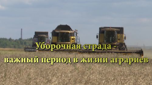 В Нурлатском районе уборочные работы завершены на одной трети всех площадей