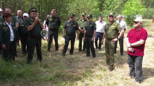 На борьбу с непарным шелкопрядом собрались лесничие Закамья Татарстана