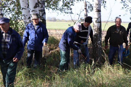 Нурлатские лесоводы отмечают свой праздник