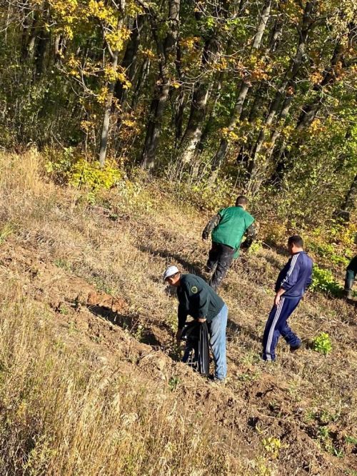 Нурлатские лесоводы провели экологическую акцию