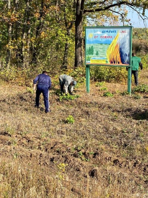 Нурлатские лесоводы провели экологическую акцию