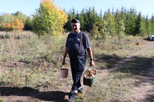 О грибном сезоне рассказал грибник со стажем