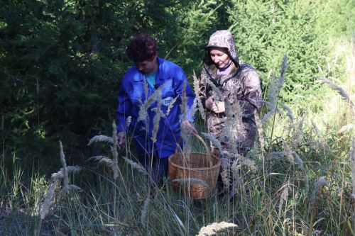 О грибном сезоне рассказал грибник со стажем