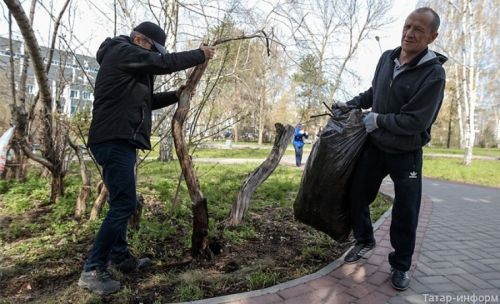Нурлатцам рассказали об осенней обрезке деревьев