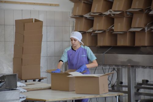 Дамир Ишкинеев ознакомился с деятельностью Тюрнясевского молочного комбината
