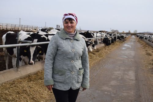 Сегодня Айсылу Даутова, как и все работники сельского хозяйства, отмечает свой профессиональный праздник