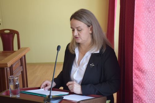 Сотрудники учреждений социальной защиты встретились с Дамиром Ишкинеевым и Александром Шадриковым