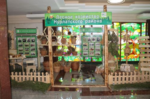 В Нурлате прошла XXXV сессия Совета района