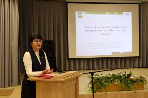 Дамир Ишкинеев встретился с нурлатскими предпринимателями