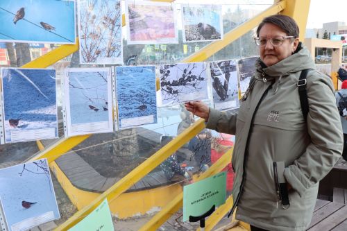 Их фантазия безгранична!: Чем удивили участники фестиваля «На крыльях весны»